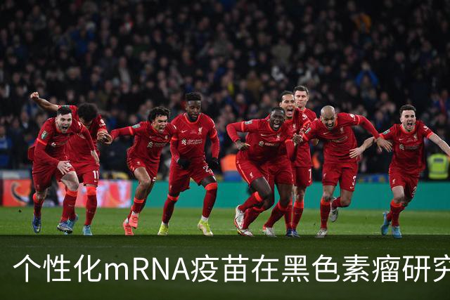 个性化mRNA疫苗在黑色素瘤研究中获重大突破