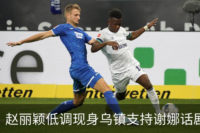 赵丽颖低调现身乌镇支持谢娜话剧，因身体原因近一年未拍剧